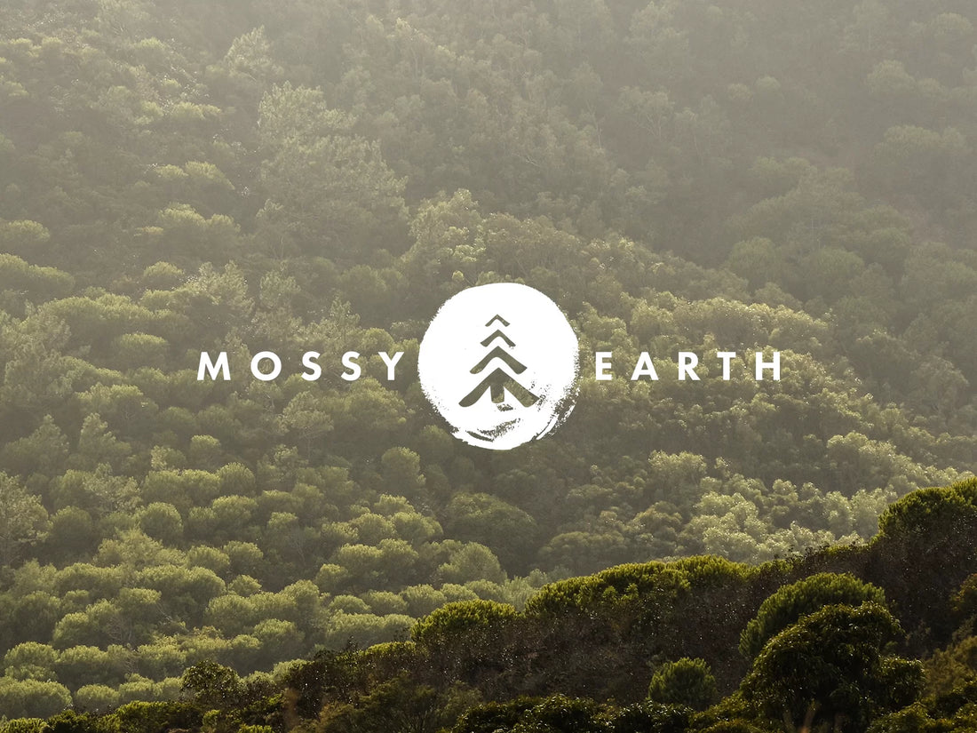 Preserving Nature's Wonders: A Closer Look at Mossy Earth's Conservation Efforts